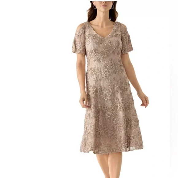 Alex Evenings | Dresses | Alex Eveningswomens Cold Shoulder Scoop Neck Lace  Aline Dress | Poshmark